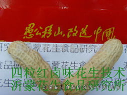 四粒紅鹵味花生技術(shù)轉(zhuǎn)讓全攻略 掌握核心工藝，開啟創(chuàng)業(yè)之路